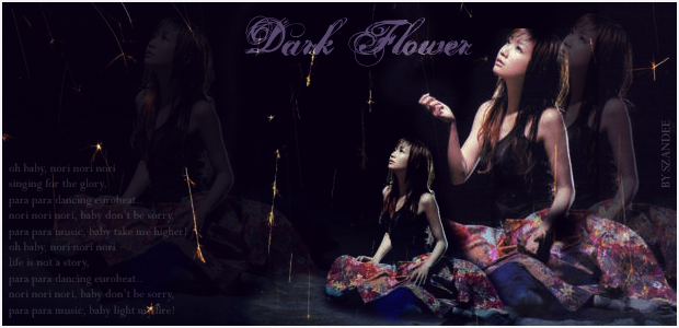Dark Flower </3 ...heartbreak angel__}